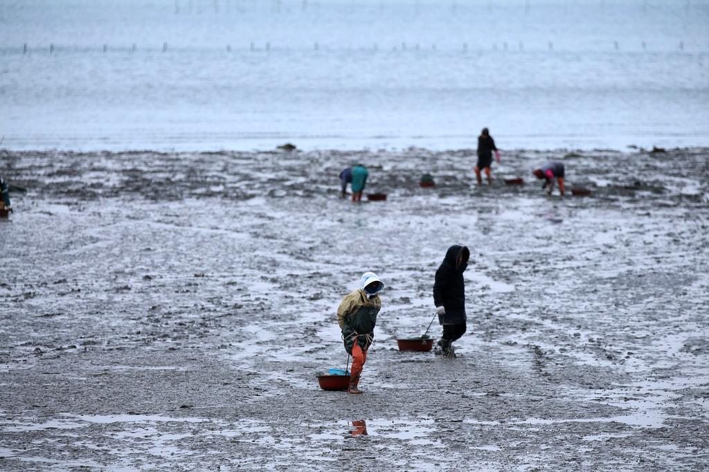 Advanced biometric security scanner technology