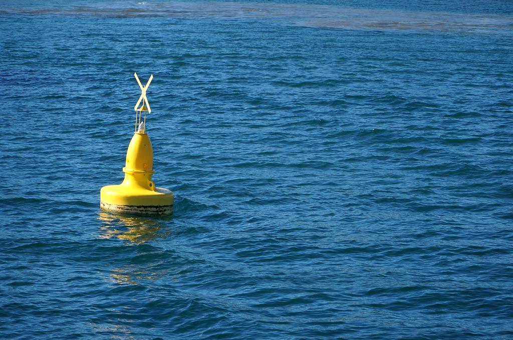 Traveler using digital safety app at international airport